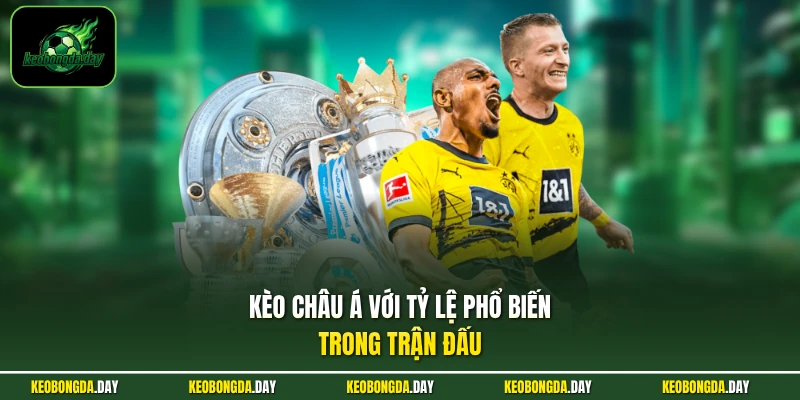 Kèo Châu Á với tỷ lệ phổ biến trong trận đấu